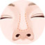 鼻小柱延长